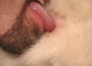 Meter dedos