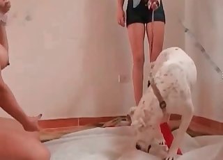 A três