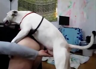 Masculino